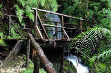 Puerto Aysén