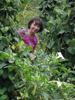 Margo and the bean stalks