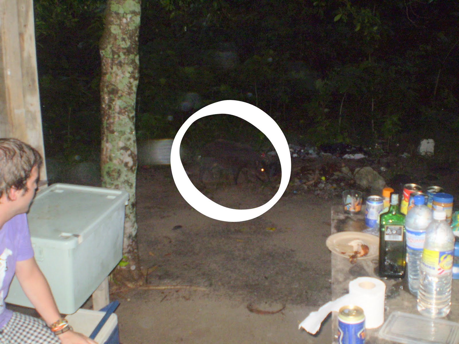 Zackry Guest House