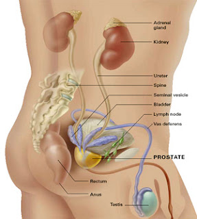 advanced prostate cancer survival rate