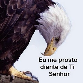 [!cid_DE1C92F7F22041C2A507FB925A7DCD63@isabel[1].jpg]