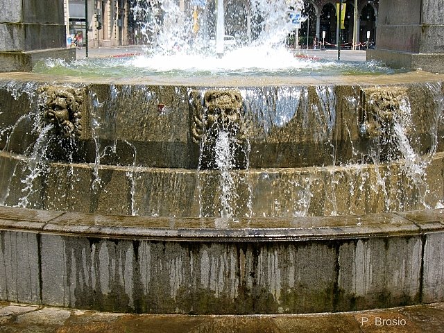 Fontana Angelica