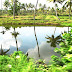 Ernakulam