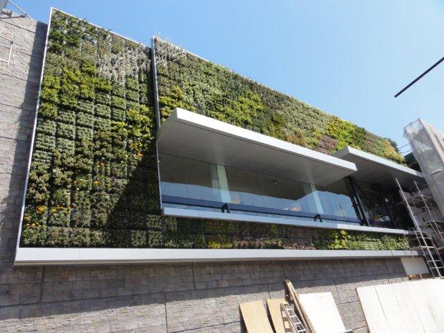 jardim vertical xaxim:Jardim Vertical, esta moda pegou! jardim vertical xaxim:Jardim Vertical, esta moda pegou!