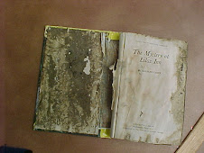 Here's the "dirty" book
