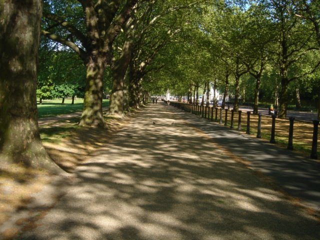 [DSC03957.JPG]