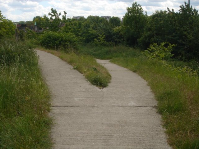 [DSC04056.JPG]
