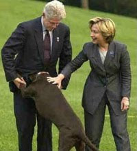 Bill Clinton Buddy
