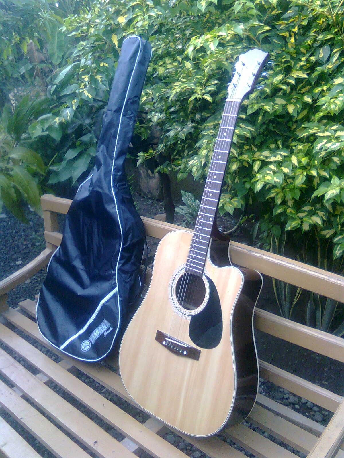 Harga Gitar Murah Berkualitas