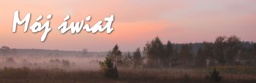 Mój świat