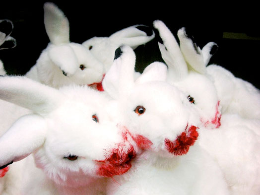 2019 year - How to Calm a Vicious Rabbit 2019 year