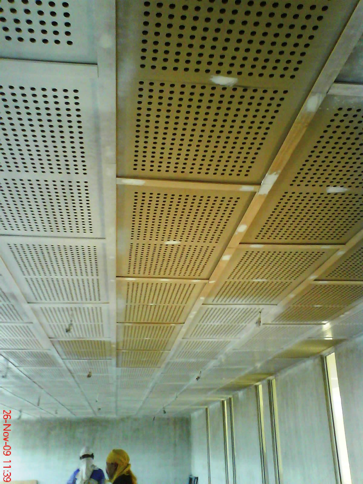 Save Energy Save The CELLULOSE INSULATION ACOUSTIC