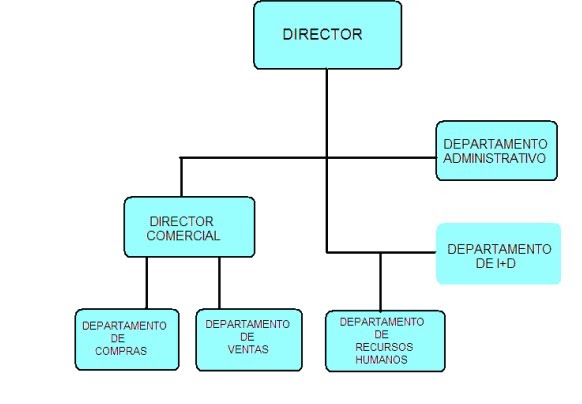 FUNCIONES EN LA EMPRESA funciones en la empresa: