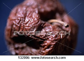 Rotten Apple