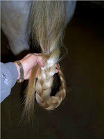 Step 3: Braiding a Horse's Tail