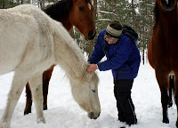 A Horse Enjoying Getting Her Ears Scratched