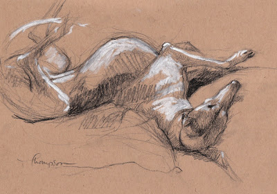 Sketches Of Greyhounds