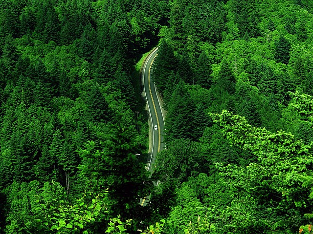 est wallpapers of 2011 Best Wallpapers For 2011. est wallpapers of 2011