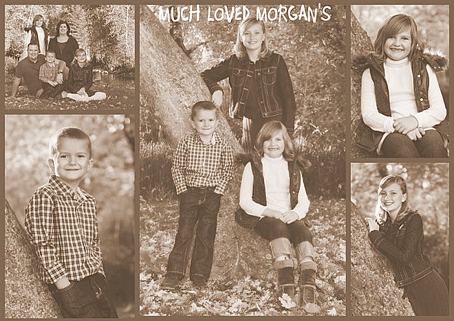 Much loved Morgans