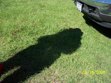 Me... And... My... Shadow