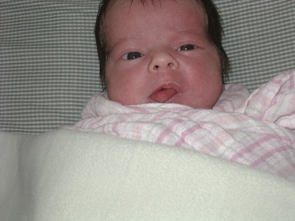 [IMGP4455.JPG]