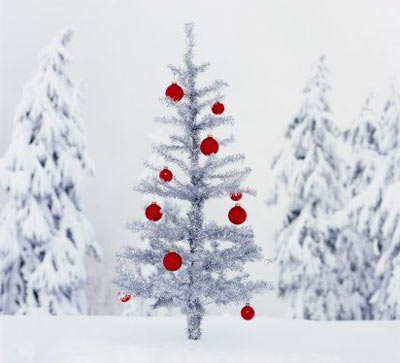 [christmas-tree-5.jpg]