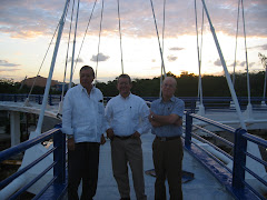 Puente Peatonal Máximo Gómez