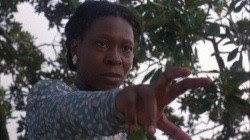an analysis of alphonso in the color purple by alice walker The color purple by alice walker - an analysis - bachelor katharina eder - term paper (advanced seminar) - english language and literature studies - literature - publish your bachelor's or master's thesis, dissertation, term paper or essay. an analysis of alphonso in the color purple by alice walker The color purple by alice walker - an analysis - bachelor katharina eder - term paper (advanced seminar) - english language and literature studies - literature - publish your bachelor's or master's thesis, dissertation, term paper or essay.