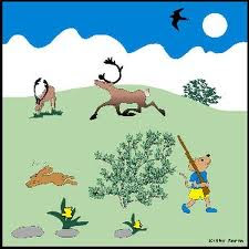 natural resources examples