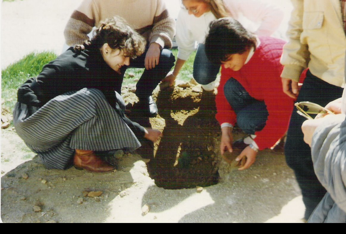 [a2.jpg]