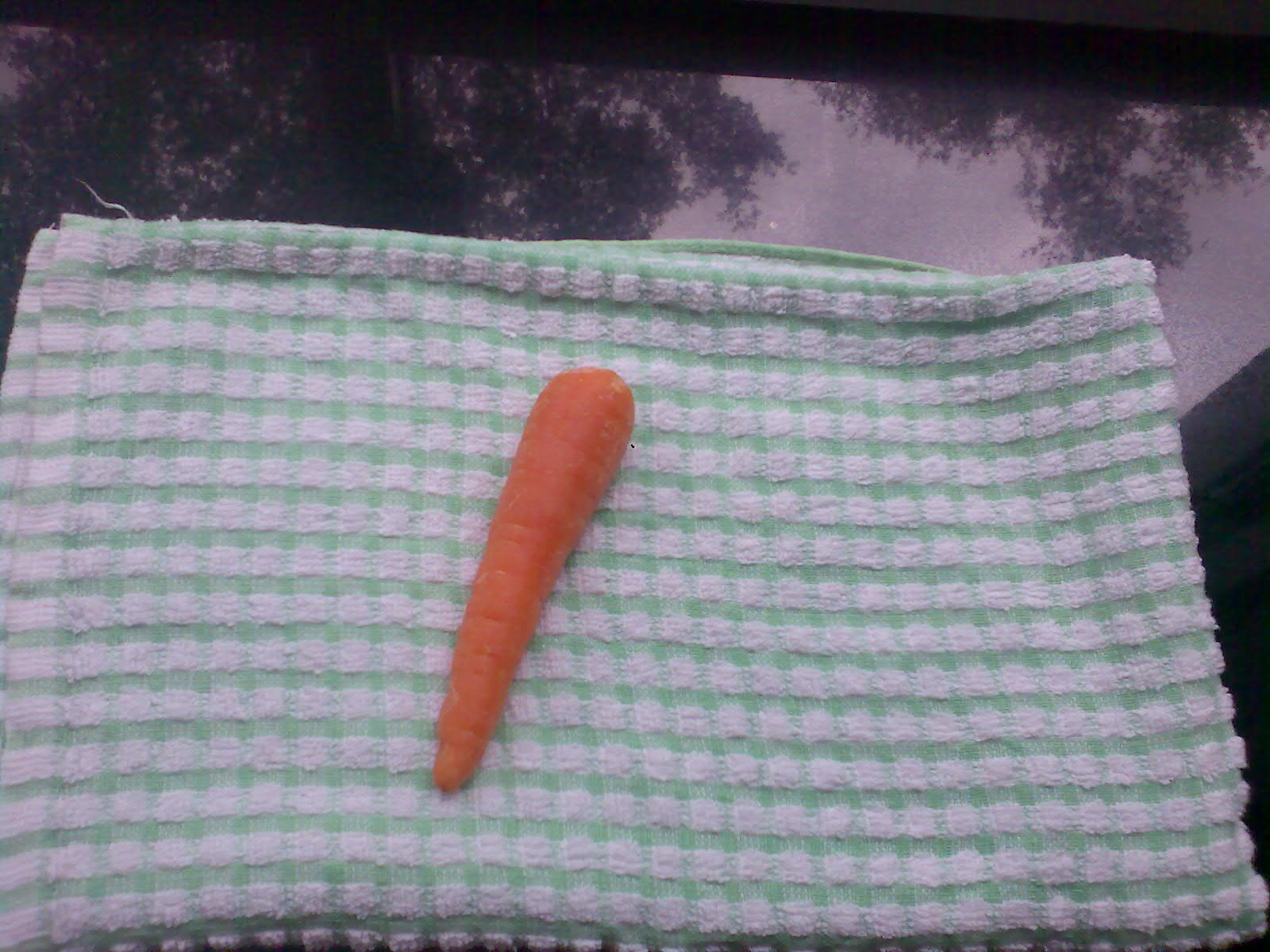 [Lonely+lil'+carrot+in+my+housexD+.jpg]
