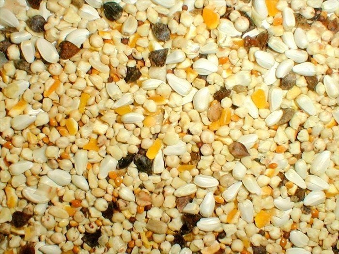 Birdhouse Accents White Proso Millet Part Six of Seven