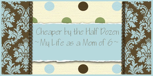 Cheaper by the Half Dozen ~  My Life as a Mom of 6