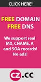 free domain & DNS