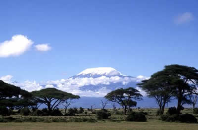 foto foto