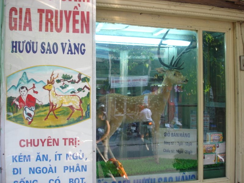 [vietnam+1+400.JPG]