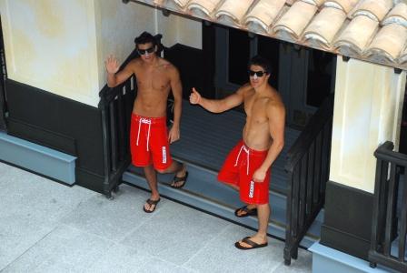 [lab_image_beachboys.JPG]