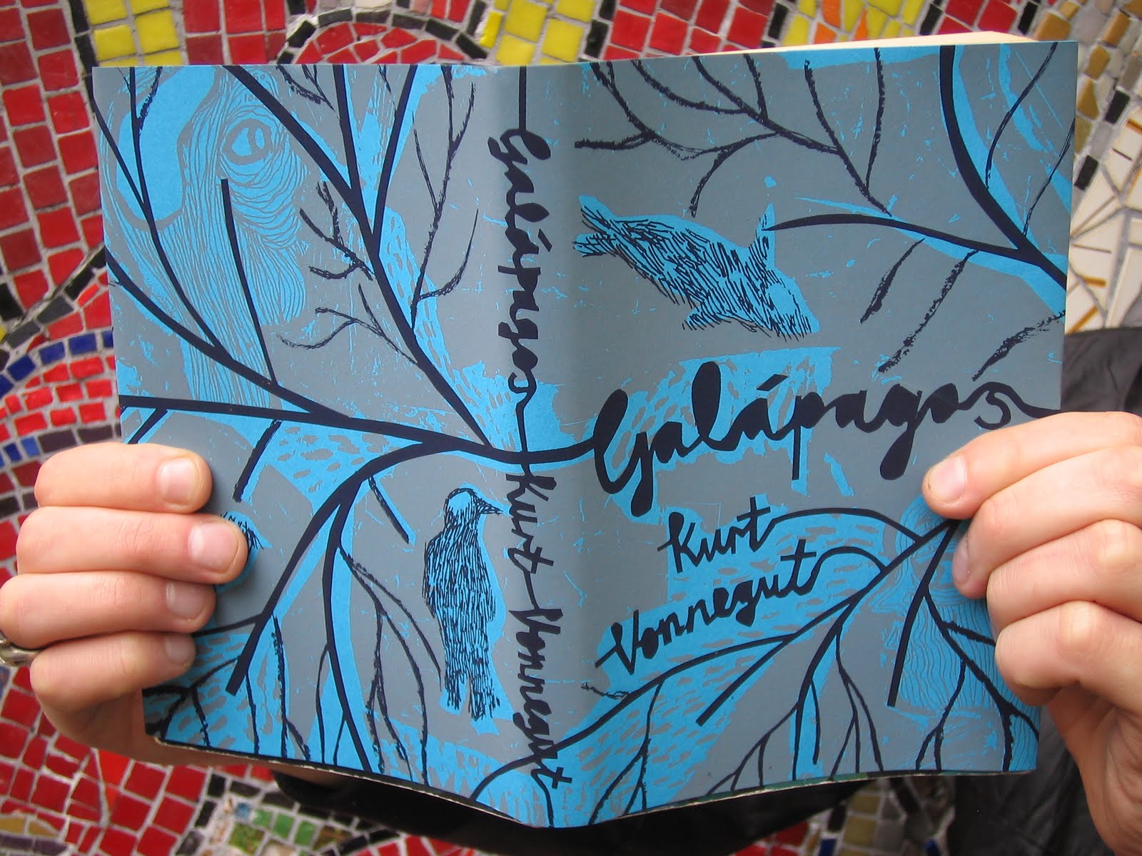 emieye Screen Printed Book Covers