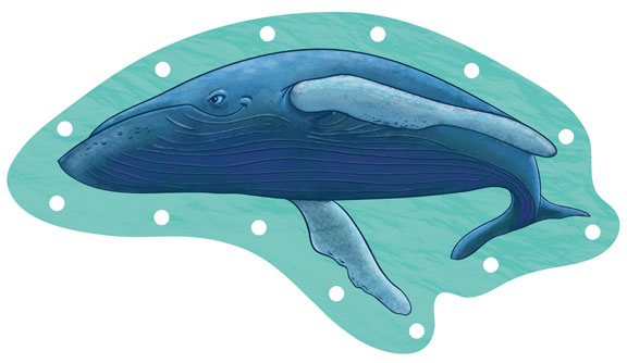 [whale.jpg]