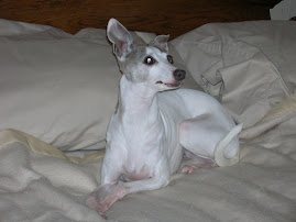 SWEET LITTLE BLESSING