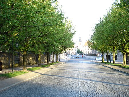 [Fulda_Am_Dom_1153222900-210617.jpg]