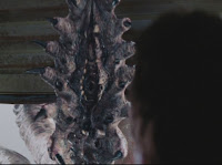 Thomas Jane as David Drayton saying I think we need a bigger flyswatter...