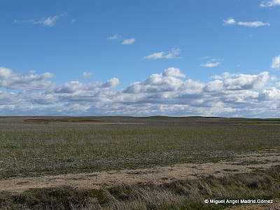 Fotos De Llanuras