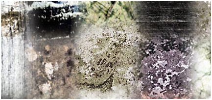 Grungy and Dirty Textures
