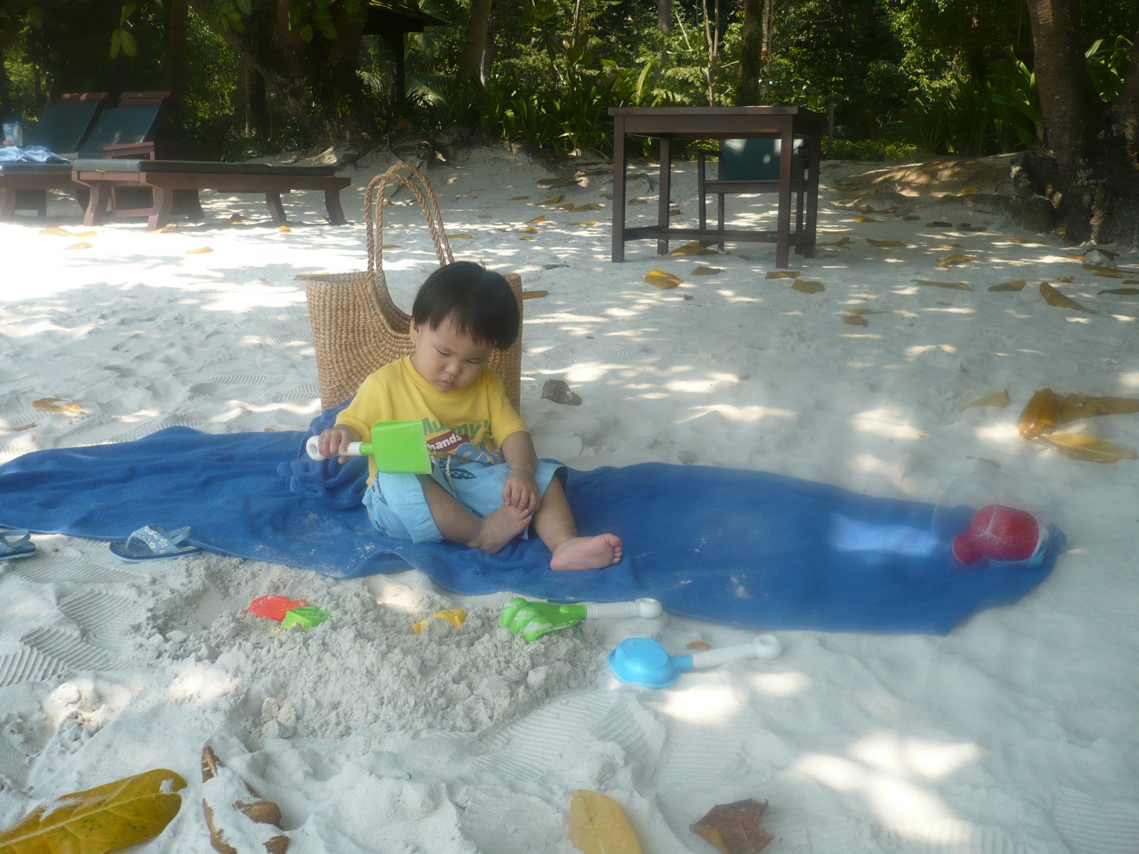 [P1000378.JPG]