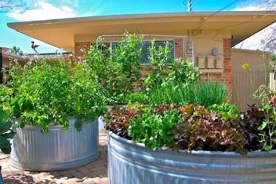 City Lady Country Girl: May 2009