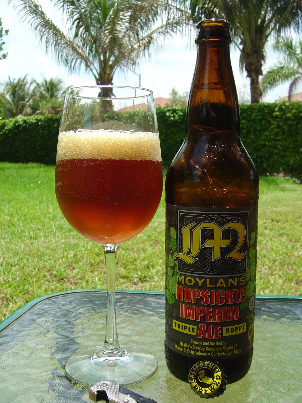 Daily Beer Review Hopsickle Imperial Ale