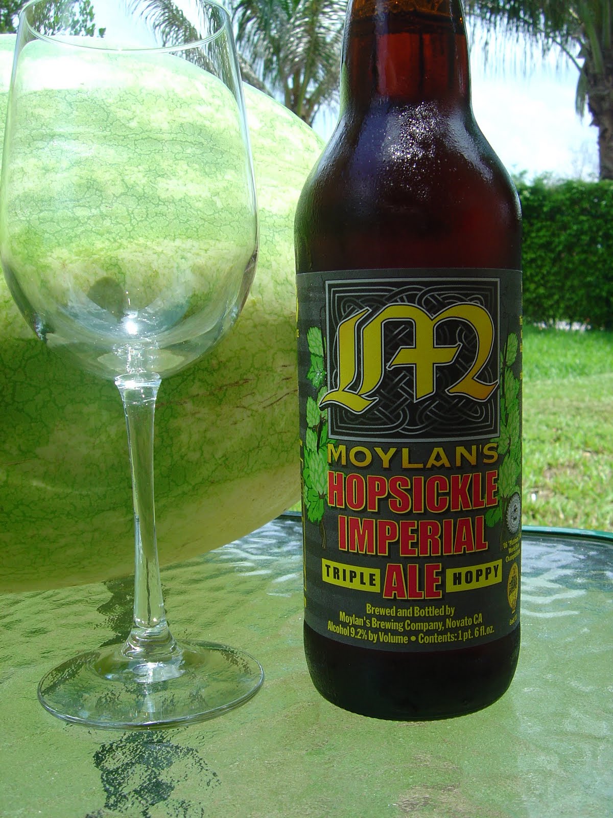 Daily Beer Review Hopsickle Imperial Ale