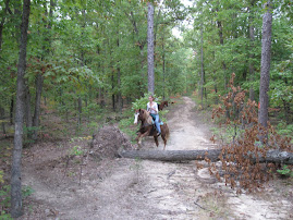 Maddy, another one of my helpers at Black Dog Ranch