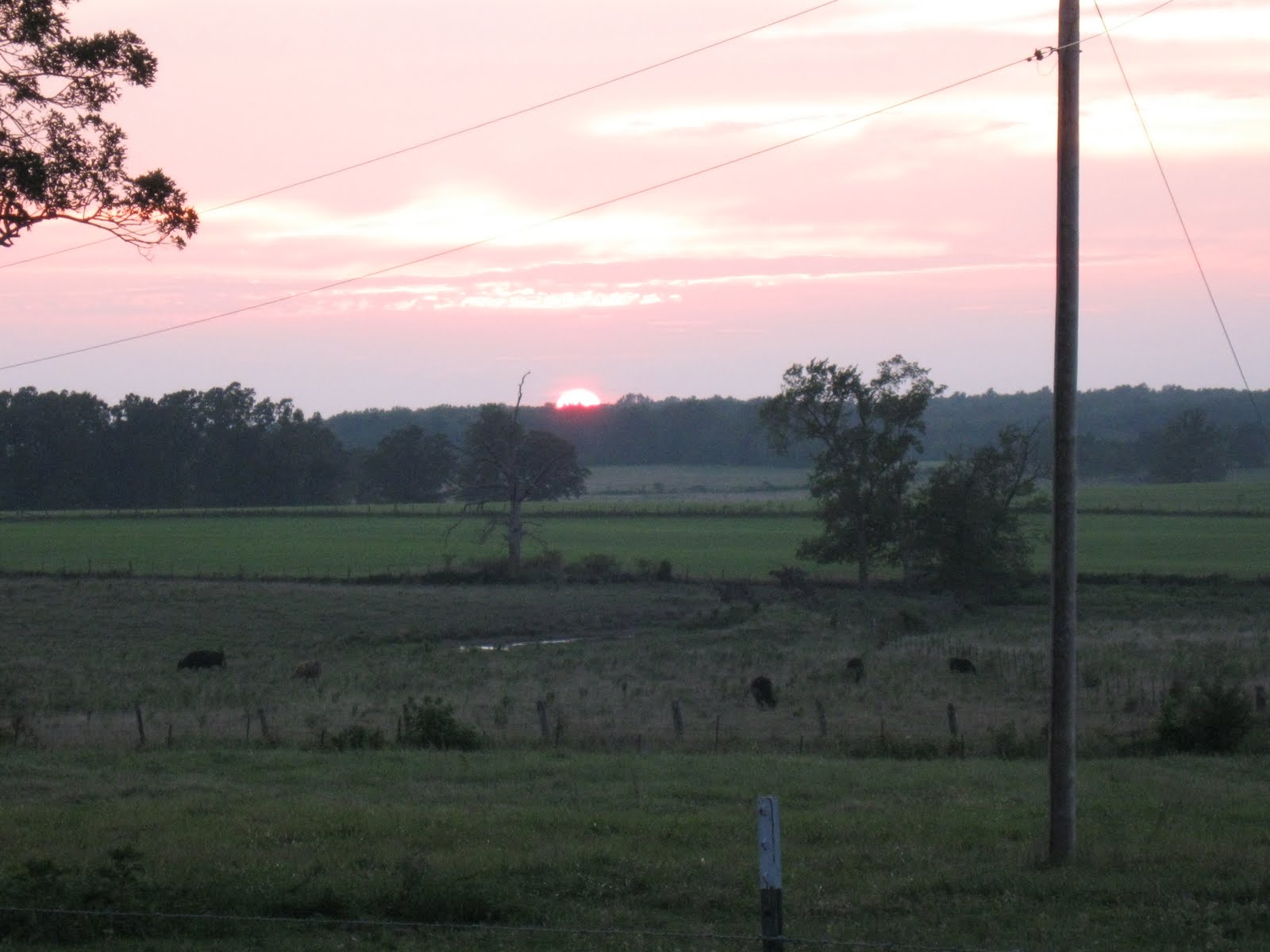 [IMG_1027.JPG]